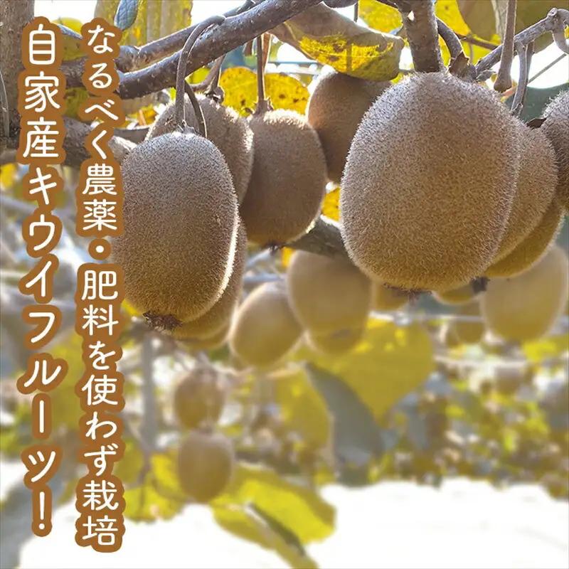 スイスで加工品を学んだ農家が手間暇かけた『手づくりジャムソース【キウイ】』16本セット【 家庭用 自宅用 贈答品 贈答用 ギフト お取り寄せ お中元 お歳暮 贈り物 お祝い 神奈川県 小田原市  ジャ