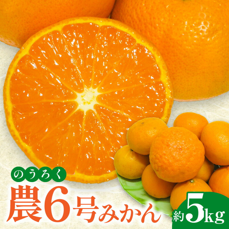 【ふるさと納税】 フルーツ みかん マンダリンオレンジ 高糖度 農6号 みかん のうろく 約 5kg 先行予約 [ 新品種 果物 柑橘 ジューシー 甘い 旬 新鮮 直送 産地直送 予約販売 人気 ギフト お歳暮 贈答用 家庭用 10,000円 台 送料無料 香川県 三豊市 返礼品 五色青果 ]