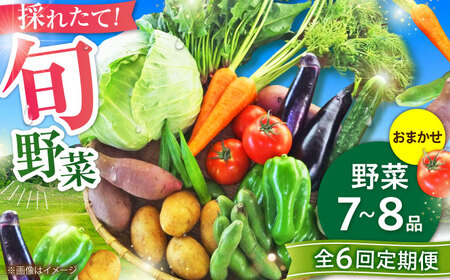 【全6回定期便】【数量限定】旬の 野菜 セット (約3㎏/野菜7-8品程度) / 野菜 新鮮 旬 詰合せ セット 熊本県 菊陽町 特産品 【有限会社さんふれあ】[BHAK025]