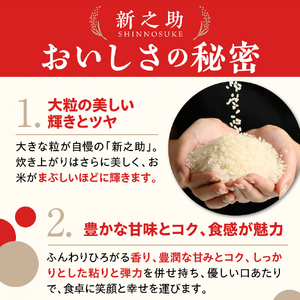 【2026年8月下旬発送】令和7年産 新潟県上越妙高産新之助10kg※沖縄県・離島配送不可
