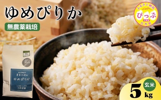 
            令和7年産 新米 ゆめぴりか 玄米 5kg【今野農園】無農薬栽培 農薬不使用 化学肥料不使用 米 お米 北海道米 特Aランク 国産 コメ 2025年産 北海道 比布町 ぴっぷ 1012-007
          