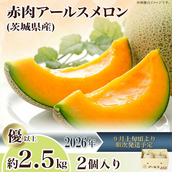 【ふるさと納税】2026先行予約 果物 メロン アールスメロン（マスクメロン） 茨城県 茨城県産 旬 フルーツ くだもの マスクメロン 茨城県産アールスメロン「赤」約2.5kg（2個）【2026年9月上旬～10月上旬ごろ発送予定】