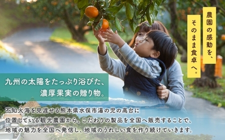 【 3回定期便 】 福田農場人気詰め合わせ 3ヶ月定期便 シロップ セット フルーツシロップセット フルーツシロップ フルーツ くだもの 果物 詰め合わせ 定期便 定期 ジャム ジュース