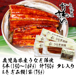＜うなぎ屋かわすい＞【OPEN記念！きざみ鰻セット！】鹿児島県産 国産うなぎ蒲焼 (計825g以上 / 1本あたり150～169g×2本・計750g以上 ＆ きざみ鰻 75g) タレ入り 鰻 うな重 