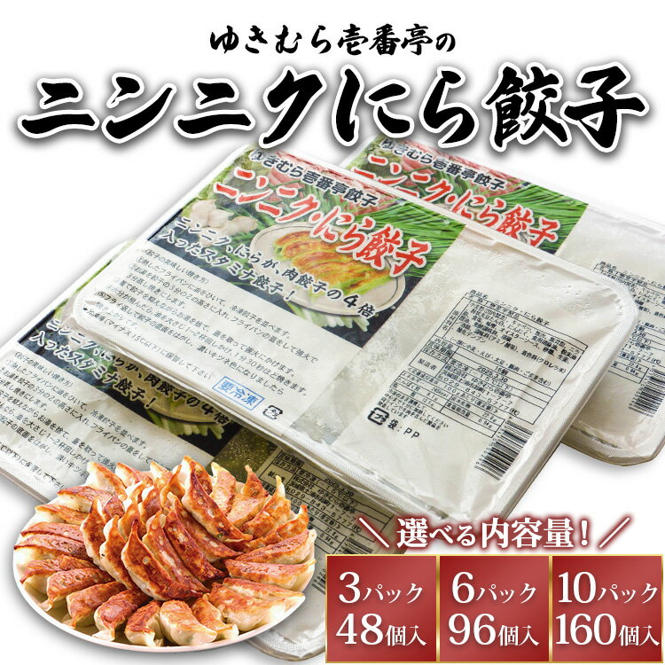 【ふるさと納税】【選べる内容量】ゆきむら壱番亭のニンニクにら餃子　※離島への配送不可
