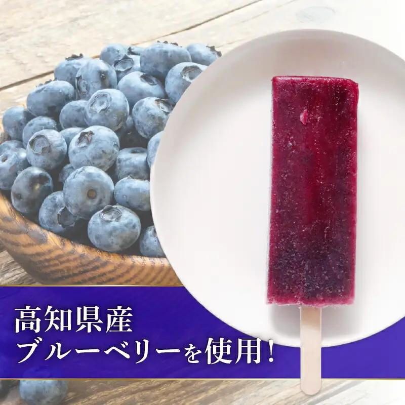 【アイス】ブルーベリー アイス 80ml×20本