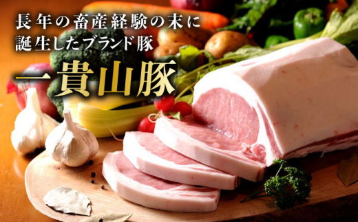 【選べる！冷凍配送 冷蔵配送】一貴山豚 ロースとんかつ・トンテキ用 計480g(120g×4枚) 糸島市 / いきさん牧場 豚肉 [AGB030]