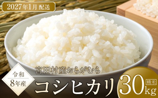 【予約受付】【令和８年米】長野県宮田村産コシヒカリ／精米／30kg・60,000円／令和９年1月配送