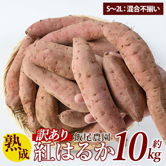 【ふるさと納税】《 訳あり 》飯尾農園 紅はるか 約10kg 芋 いも さつまいも サツマイモ 鹿児島県産 国産 長島町産 べにはるか 熟成【飯尾農園】miio-6125