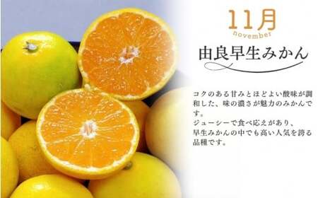 みかん 定期便 3回 計9kg【極早生温州・由良早生・早生温州】みかん【nkmr-tkb0011】
