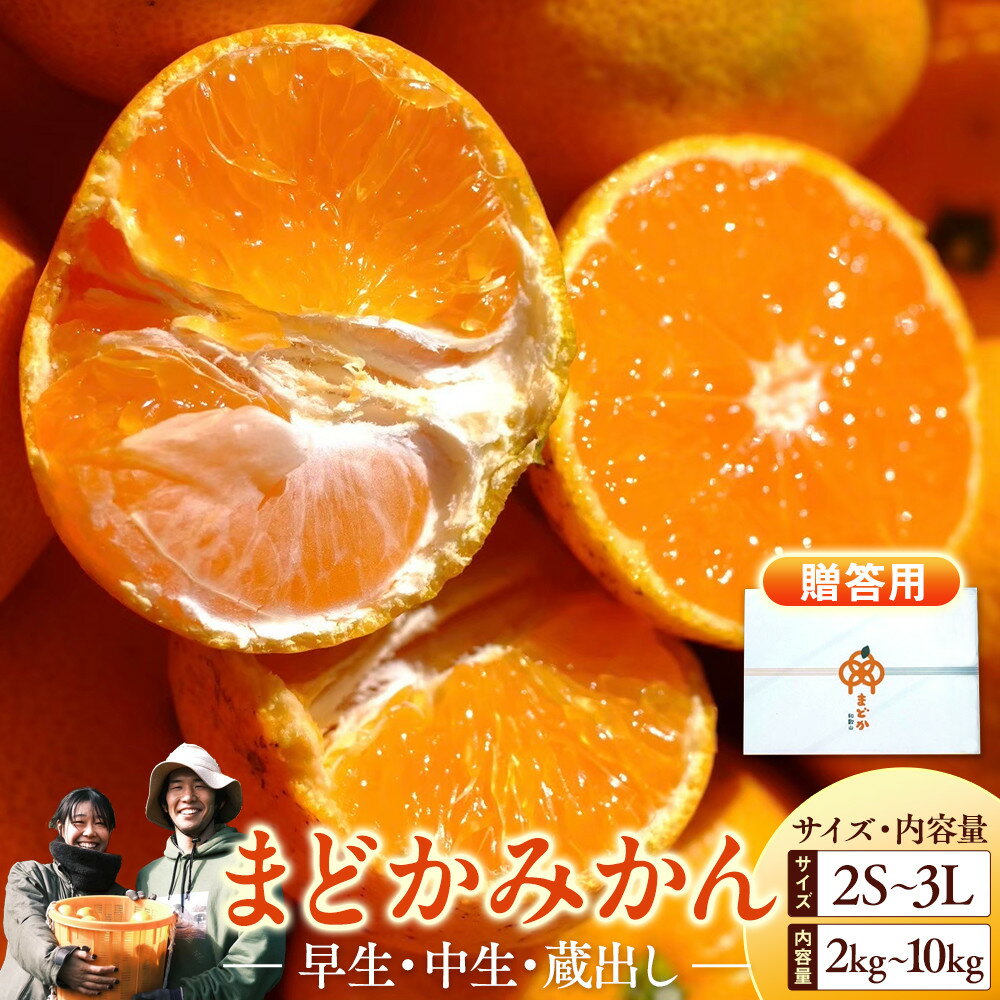 【ふるさと納税】【先行予約】【選べる種類・サイズ・内容量】贈答用 みかん 箱入 2kg~10kg＋傷み補償分 和歌山県 海南市 | みかん 蜜柑 フルーツ 果物 くだもの 食品 人気 おすすめ 送料無料 産地直送