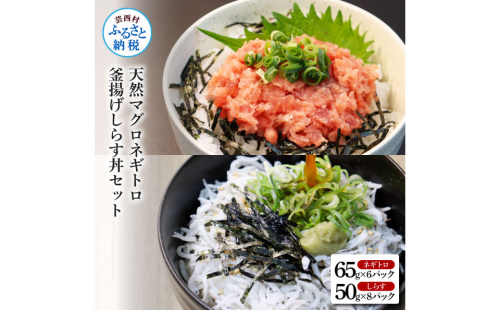 KGP037　高知県産釜揚げしらす（8P）と天然マグロのタタキ丼（6P）セット（小分け）