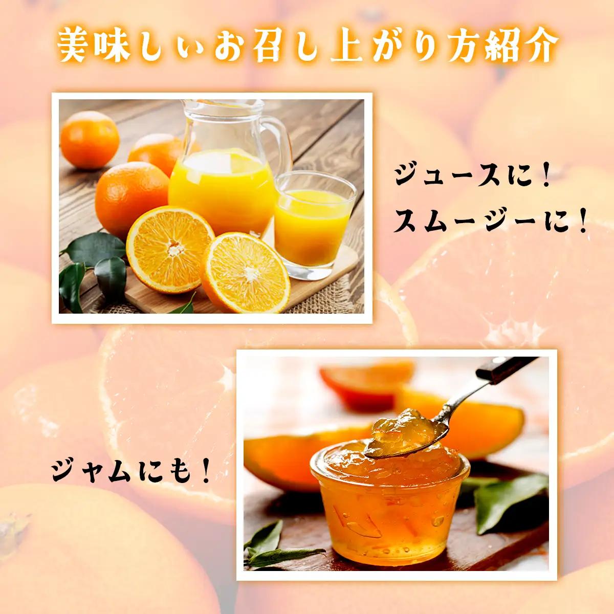 【先行予約】ジュース用訳ありぽんかん ＜5kg＞