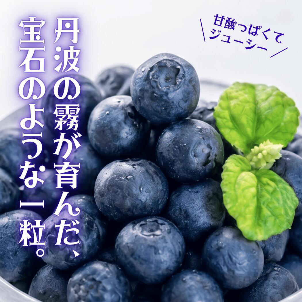 〈先行予約〉令和8年産 丹波市産 ブルーベリー 冷凍 2kg 超大粒 無農薬 有機栽培 ひょうご安心ブランド 果物 フルーツ くだもの ぶるーべりー 産地直送 お取り寄せ 兵庫県 丹波市