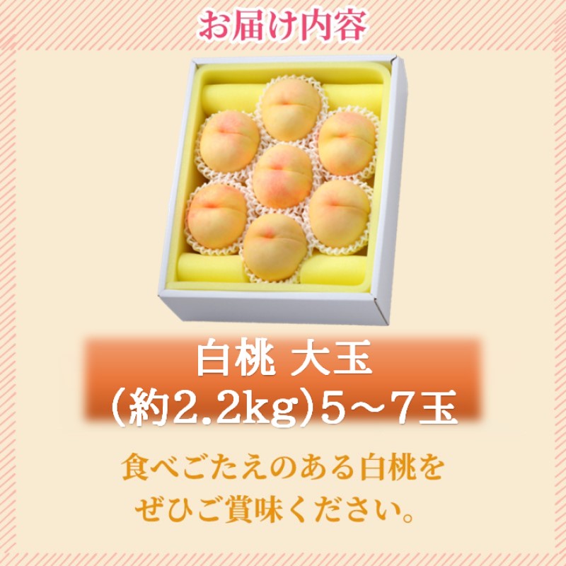 岡山県産 白桃 大玉 (約2.2kg) 5～7玉 桃 もも 果物 フルーツ