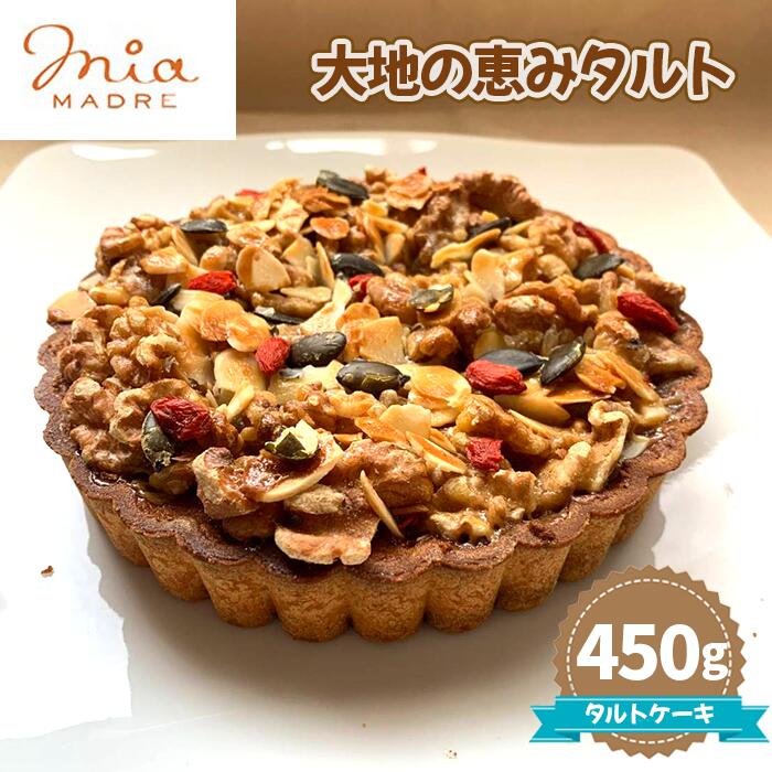 【ふるさと納税】大地の恵みタルト450g No.437 KWNCK005 ／ タルト スイーツ デザート おやつ タルトケーキ ケーキ 焼菓子 お菓子 菓子 送料無料 兵庫県