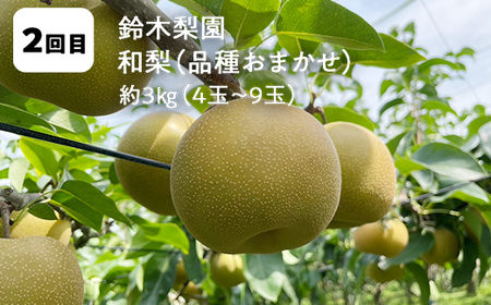 【2026年発送】鏡石町 まきばのフルーツ定期便（桃2kg・和梨3kg・りんご5kg）モモ もも ナシ なし リンゴ 福島県 鏡石町  F6Q-390