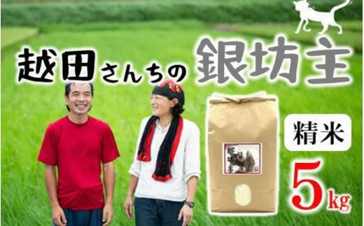 自然栽培米 越田さんちの銀坊主（精米）5kg 令和7年産