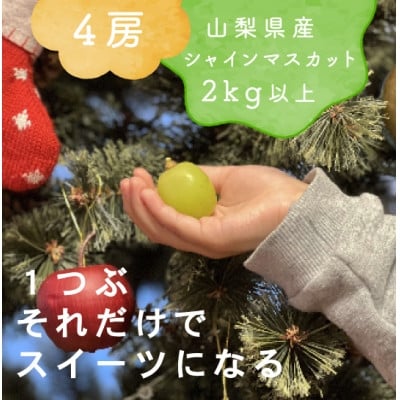 
            ＜年内発送＞冬に食べられる シャインマスカット 4房 (計2kg以上) 山梨産【1560608】
          