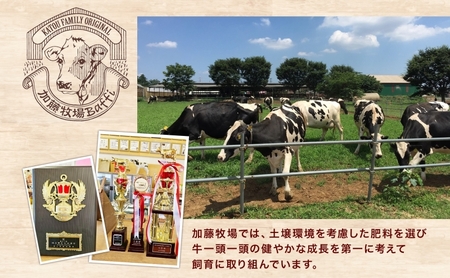 【彩の国優良ブランド】加藤牧場 ノンホモ低温殺菌牛乳を使用した甘みとコクが感じられるジェラート9個セット