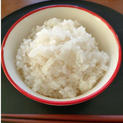 ふるさと納税 岐阜市 岐阜の米ハツシモ白米計5kg　真空パック2.5kg×2パック |  | 01