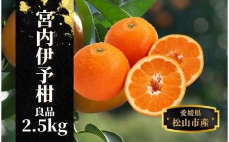 【宮内伊予柑】良品 約 2.5kg 【2027年2月頃から順次発送】 （ 愛媛産 愛媛県産 国産 愛媛みかん 愛媛蜜柑 愛媛ミカン みかん ミカン mikan 蜜柑 柑橘 フルーツ 果物 くだもの お