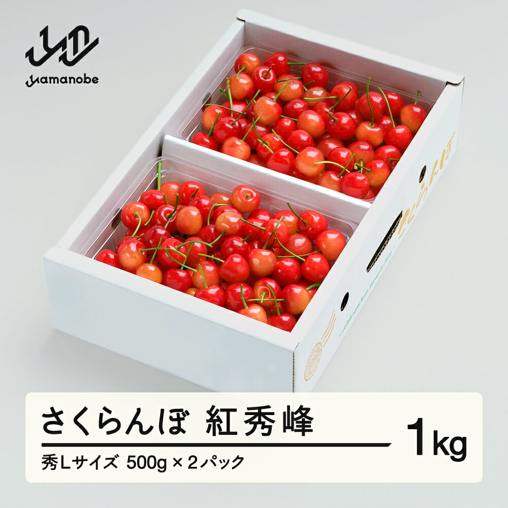 【ふるさと納税】《先行予約》さくらんぼ 紅秀峰 秀Lサイズ バラ詰め 1kg (500g×2) 2027年産 令和9年産 山形県産 送料無料 ns-bsslb1
