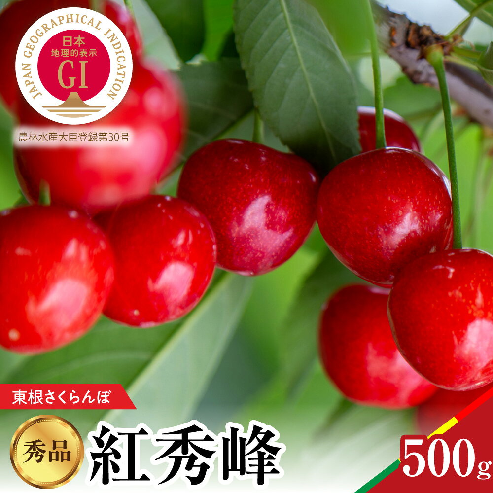 【ふるさと納税】【 2027年産 先行予約 】 GI東根 さくらんぼ 紅秀峰 秀品 500g | サクランボ チェリー フルーツ 果物 くだもの 果樹 果物 期間限定 大容量 冷蔵配送 お取り寄せ グルメ ご当地 特産 産地直送 山形県 東根市