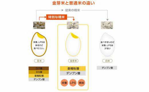 BG無洗米・金芽米つや姫 5kg×3回 定期便 隔月 ［令和6年産］