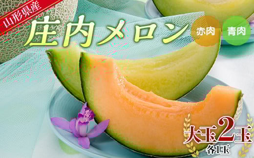 【先行予約 2025年度発送】山形県産 庄内メロン （青肉＆赤肉 MIX）大玉2玉入（各1玉） FSY-0744
