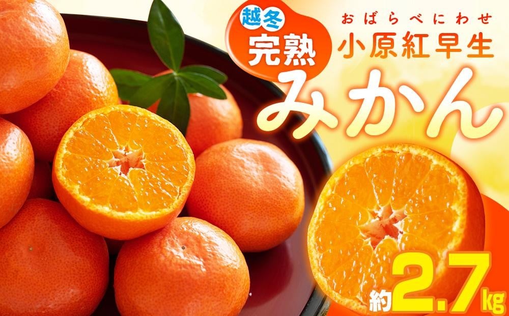 
            越冬完熟小原紅早生みかん　約2.7kg【2026年1月上旬～2026年2月上旬配送】
          