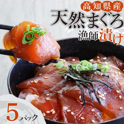 ふるさと納税 土佐清水市  まぐろ漁師漬けセット 80g×5パック 海鮮丼 漬け丼 冷凍 惣菜 切り身【R01177】