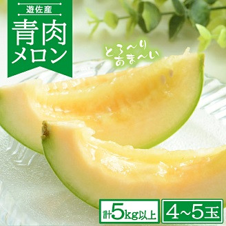 
                  青肉メロン 計5kg以上 4～5玉入 山形県遊佐産 7月中旬～8月上旬頃お届け ※着日指定不可 果物 フルーツ 夏 東北 山形県 遊佐町 庄内
                