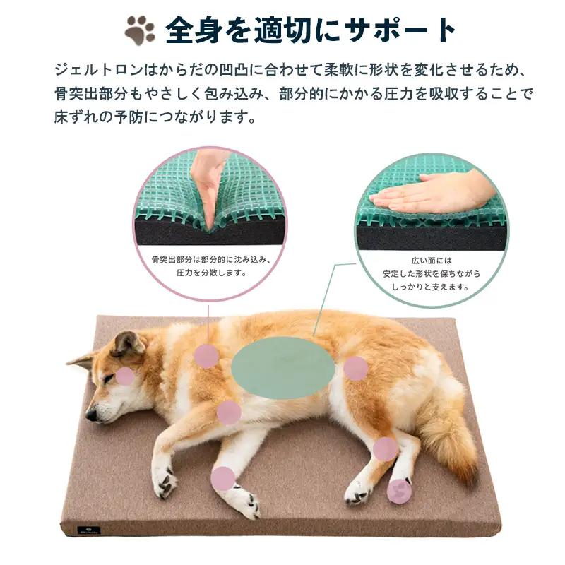 Dog ケアマットレス Mサイズ ： ペット用品 ペット介護 ペットマット ジェルトロン