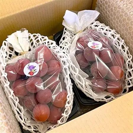 2026年発送【訳あり】種なしぶどう 青森県産クインニーナ 2房(1.0kg～1.2kg)_果物・フルーツ ぶどう・マスカット  ブドウ 葡萄 _【配送不可地域：離島】【1613277】