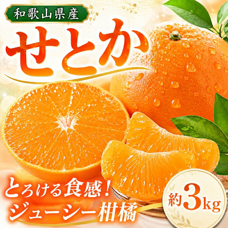 【ふるさと納税】 紀州和歌山産 せとか 約3kg 【2027年2月下旬頃〜2027年3月中旬頃発送予定】【先行予約】 | フルーツ 果物 くだもの 食品 人気 おすすめ 送料無料 産地直送