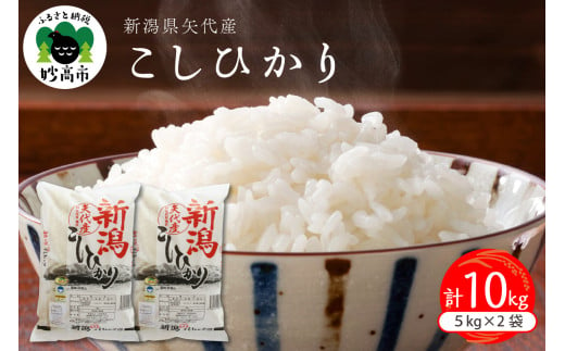 【2025年9月下旬発送】令和6年産 新潟県矢代産コシヒカリ10kg