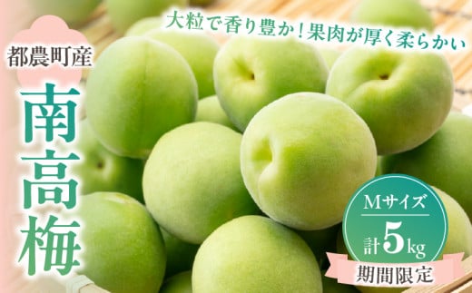 先行予約≪期間限定≫都農町産「南高梅(Mサイズ)」計5kg 梅 梅干し 果物 国産_T008-011