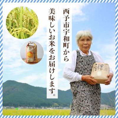 ふるさと納税 西予市 <令和7年産:西予市宇和町産　にこまる10kg(5kg×2袋)>　コメ　ゴハン　ご飯　特産品 |  | 02