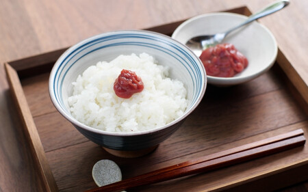 紀州南高梅 ねり梅セット （500g×3本） / 紀州南高梅 南高梅 梅干し 梅干 梅 うめ 和歌山 田辺市 肉厚 お米 梅肉 しそ しそ風味 練り梅 練梅【nkn007-2】