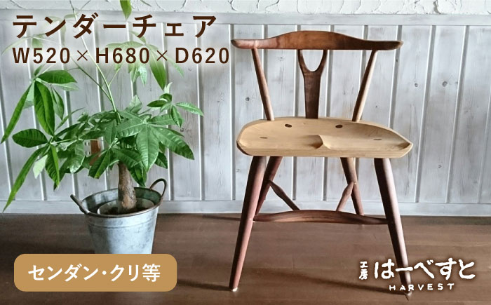 テンダーチェア 糸島市 / 工房はーべすと [AYA061] 家具 椅子