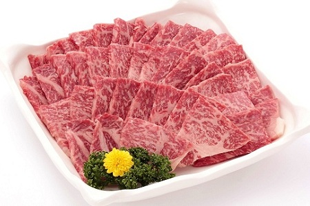 【2026年1月中旬以降発送】丹波牛 焼肉用 500g 3～4人前 【 黒毛和牛 国産牛 焼肉 丹波牛 赤身 霜降り 焼肉のタレ付き たれ 京都 丹波 いづつ屋 】