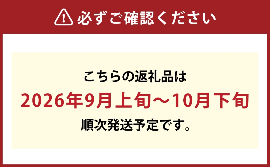 最高峰プレミアム 木熟ぶどう ハレノシャイン シャインマスカット晴王