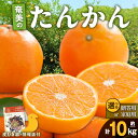 【ふるさと納税】【2025年先行予約】＜選べる＞ 奄美のたんかん 10kg 家庭用 or 贈答用 皮むき器 情報誌付 たんかん 果物 フルーツ 柑橘 奄美産 国産 数量 期間 限定 自宅用 みしょらんガイド 美味しい しーま 鹿児島 奄美市 おすすめ ランキング プレゼント ギフト