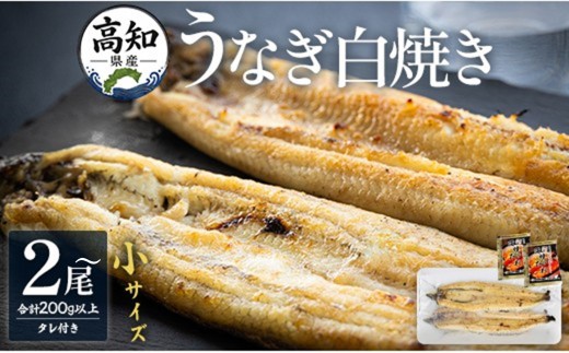 
                  【うなぎ 白焼き】 高知県産うなぎの白焼き （100ｇ～） 白焼き 国産 鰻 （ウナギ） 有頭 白焼き 背開き  ウナギ ｳﾅｷﾞ うなぎ タレ付き つまみ ご飯のお供 老舗 土佐湾 吉川水産 高知県 香南市 冷凍 白焼き うなぎ Tyw-0134
                