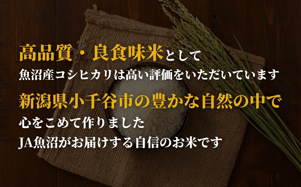 令和7年産魚沼産コシヒカリ定期便 5kg×3回（毎月お届け）（3か月連続お届け）JA魚沼