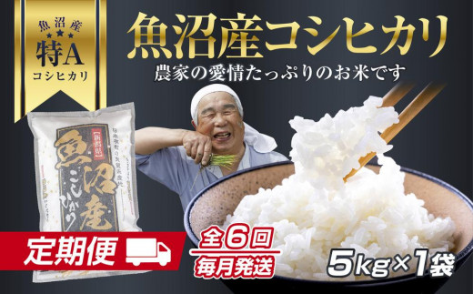 
                  DH09 【定期便】 新潟県 魚沼産 コシヒカリ お米  5kg×計6回 精米済み 半年 毎月発送 こしひかり（お米の美味しい炊き方ガイド付き）
                