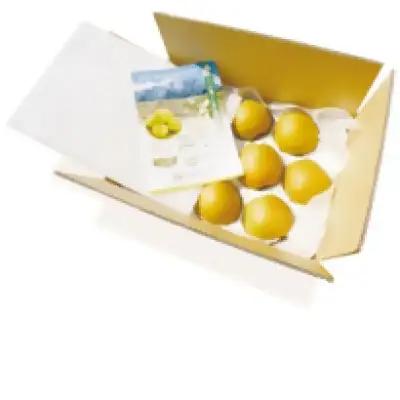 鳥取県産 梨「王秋（おうしゅう）」5kg