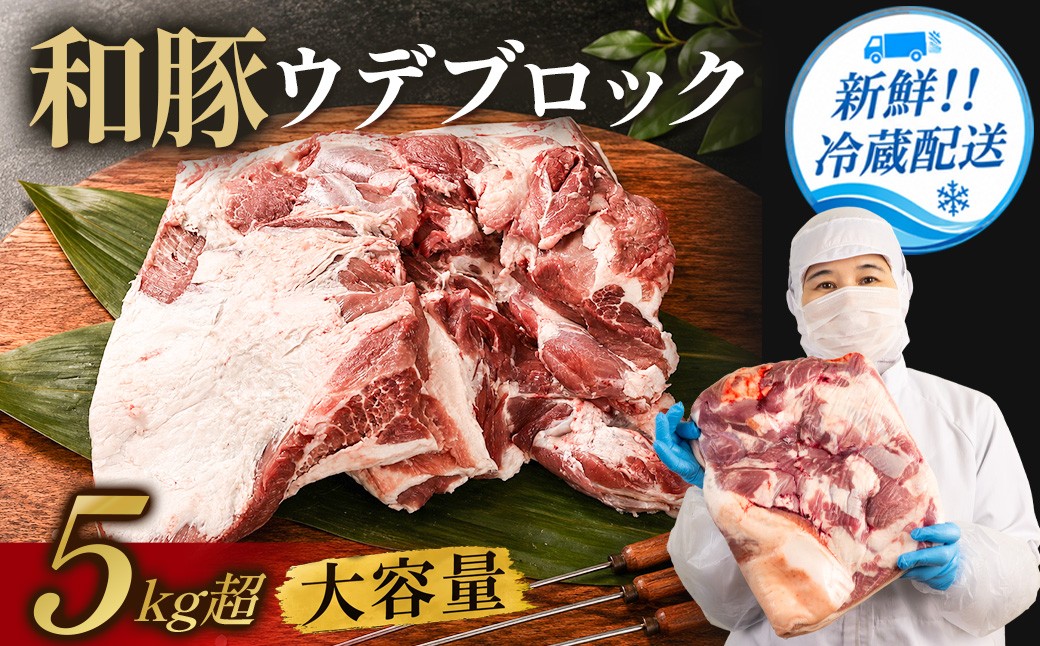 
                  〈訳あり〉 和豚 ウデ ブロック (5kg) 国産豚肉 煮込み料理 焼き物 炒め物 家庭料理 業務用料理 焼豚 チャーシュー 柔らかく ジューシー 大容量
                