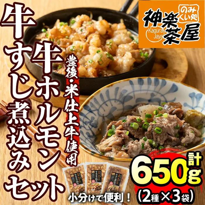 豊後米仕上げ牛牛すじ煮込み＋牛ホルモン炒めセット(合計650g・3パック)牛肉 お肉 小腸 おかず おつまみ 小分け 簡単調理 惣菜 時短【111100402】【神楽茶屋】